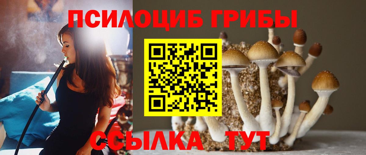 дарнет шоп  Вход с VPN  Хасавюрт  Псилоцибиновые грибы Magic Shrooms 